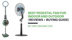Best pedestal fan